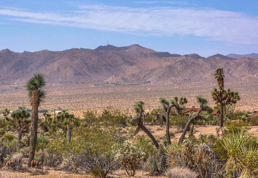 Jt Cottage Yucca Valley Luaran gambar